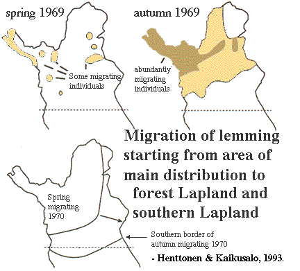 lemming migration