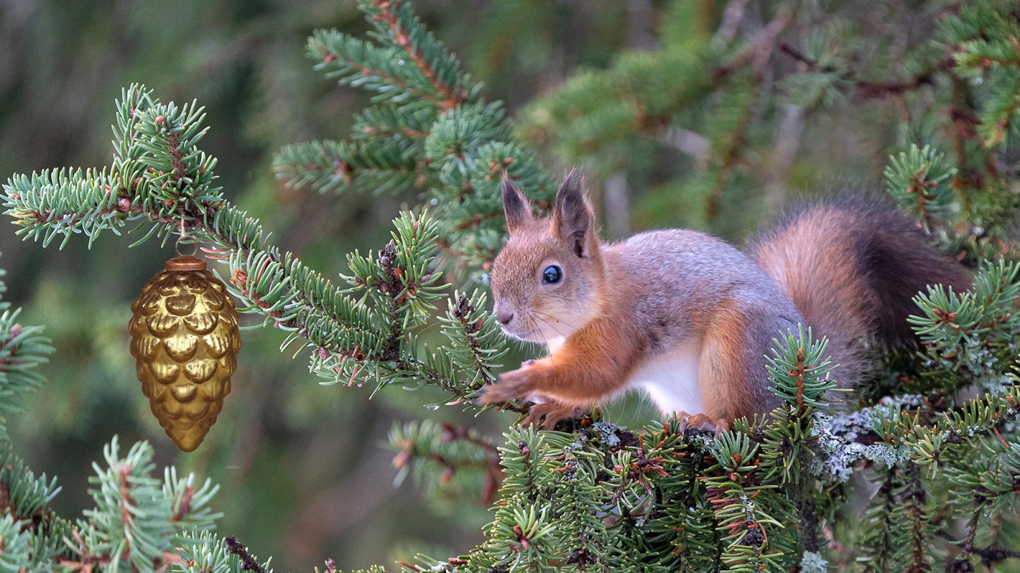 Tietotalouden tilinpäätös: pidä, paranna, poista?