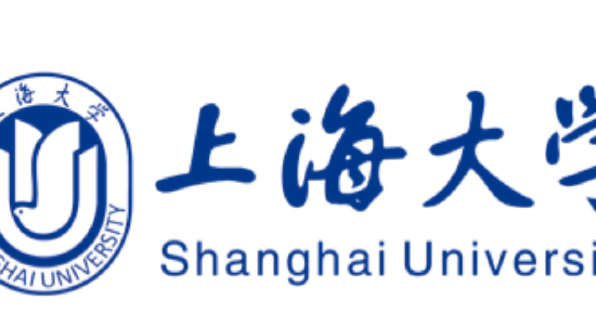 Collaboration with the Shanghai University proceeding